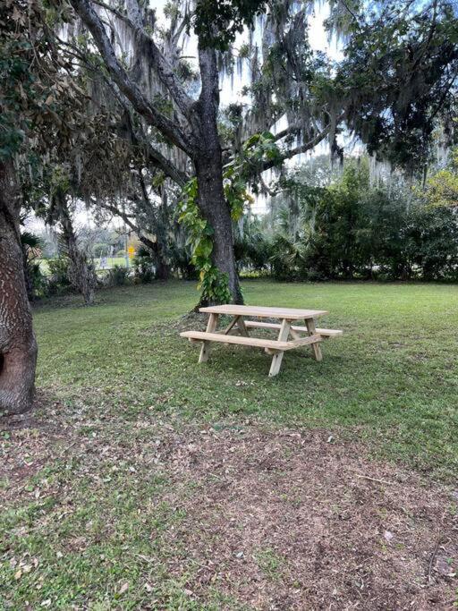 The Sunshine Homestay New Smyrna Beach Buitenkant foto